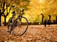 bici d'autunno AGHD Srl